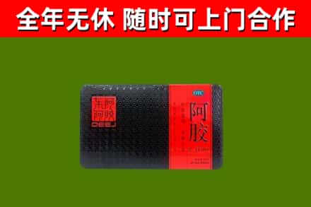 府谷县回收阿胶